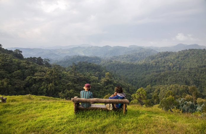 Gishwati Mukura National Park